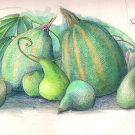 Зеленый натюрморт на скорую руку