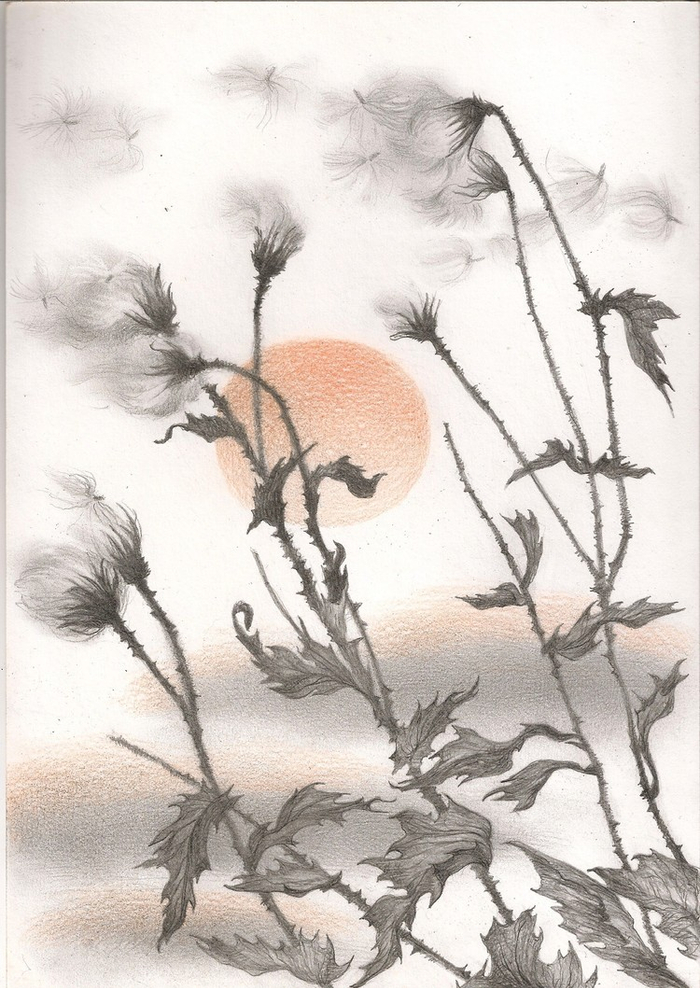 отражение. созвучия