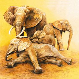 Слоны 2