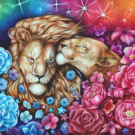 Lions in love