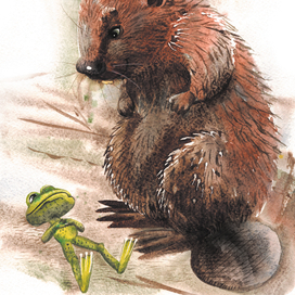 Иллюстрация к "Сказке про маленького лягушонка"  Николая Плющенко