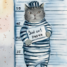 Плохой кот