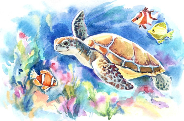 зеленая черепаха