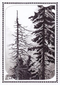 Старое и Новое