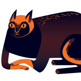 Heavy cat's thoughts