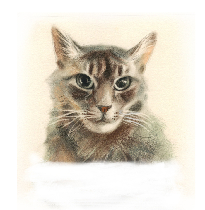 Фото на паспорт