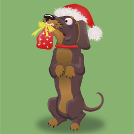 Таксячий рождественский подарок