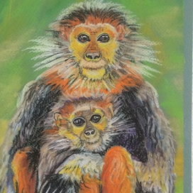 две обезьяны