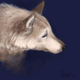 Портрет Тайги