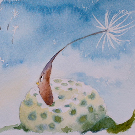 Семечко одуванчика 2