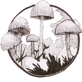 mushrooms,1.