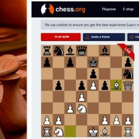   Шахматы-онлайн с живыми игроками