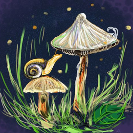 Mushroom