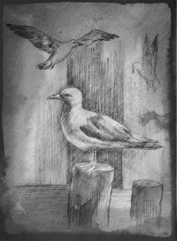 *заказной рисунок / чайка