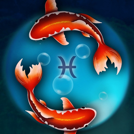 Рубашка карты