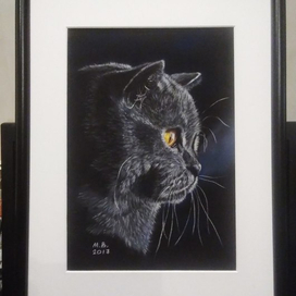 Британская голубая