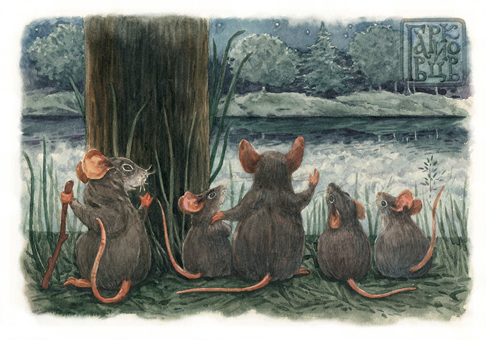 Лягушки поют