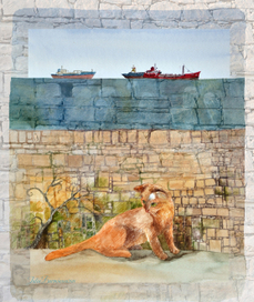 Куда пропала кошка?