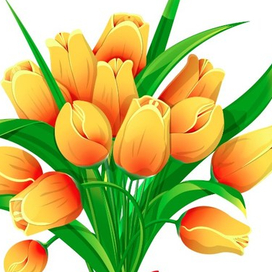 Yellow tulips with ribbon