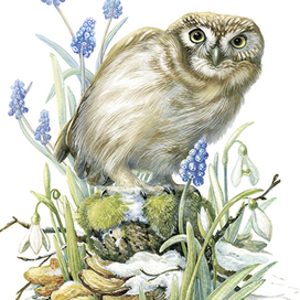 Ку-ку! Весна?