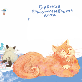 Коты у окна