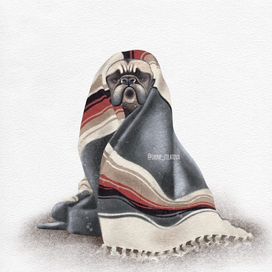 The dog under the blanket