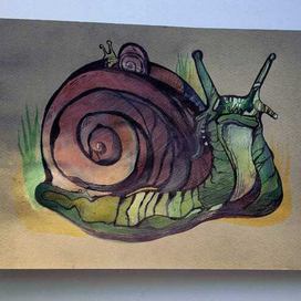 Улитка декоративная