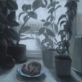 цветы на подоконнике