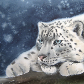 Снежный Барс