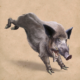 Кабан для родео