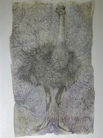 Страусиное "ПА".72х44