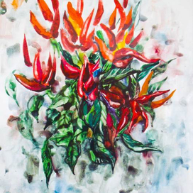 Перчик Чили