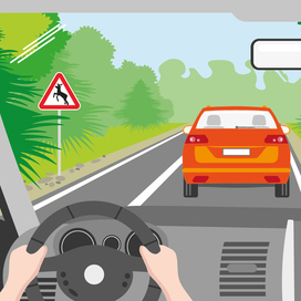 Лесная дорога