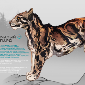 Большие кошки : Дымчатый леопард