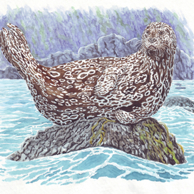 Жив, курильский курилка!