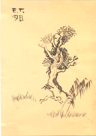 Подражание1