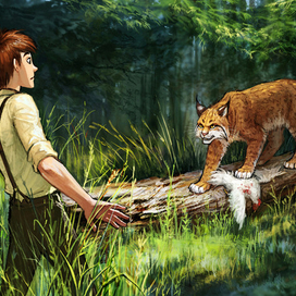 the boy and the lynx 4