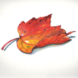 Осенний лист