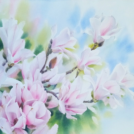 Магнолия в цвету