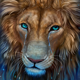 Слезы льва 