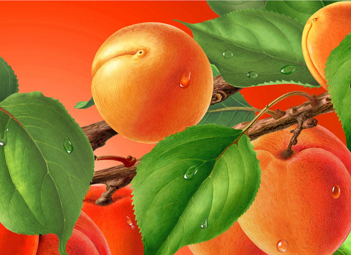 Фрагмент упаковки