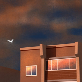 Чайка на закате