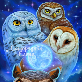 Совы и луна