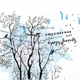 Весне дорогу!