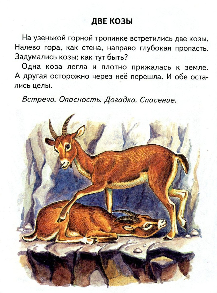 Всегда можно договориться.