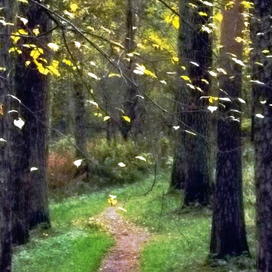 Листопад ...