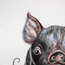 Звери-малыши