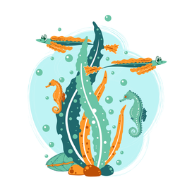 Морское дно 1