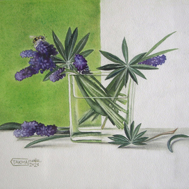 Дачные травки