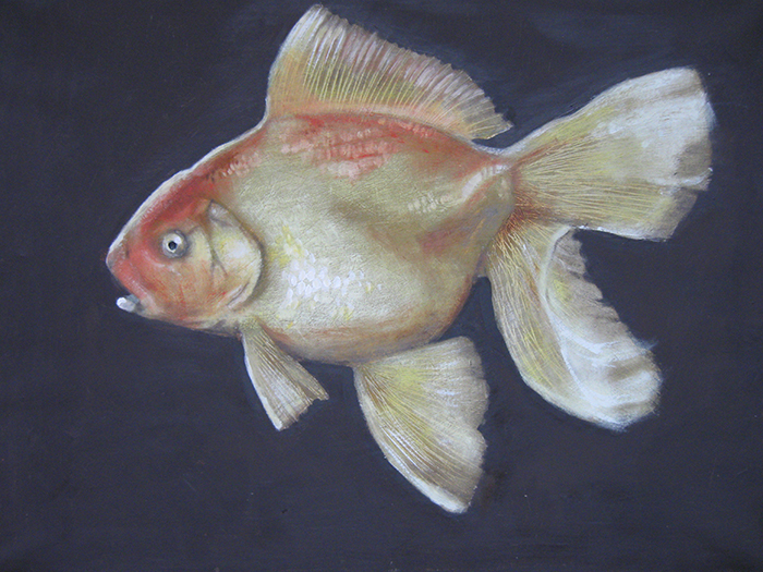 золотая рыбка